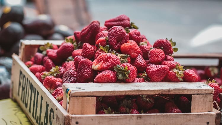 Growing Strawberries in Michigan