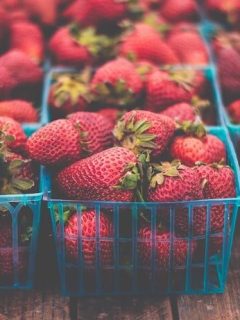 When to Plant Strawberries in Alabama