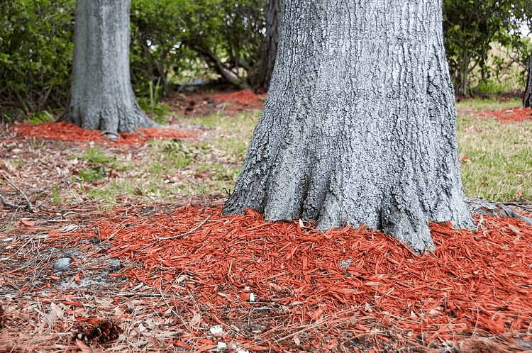best mulch for trees