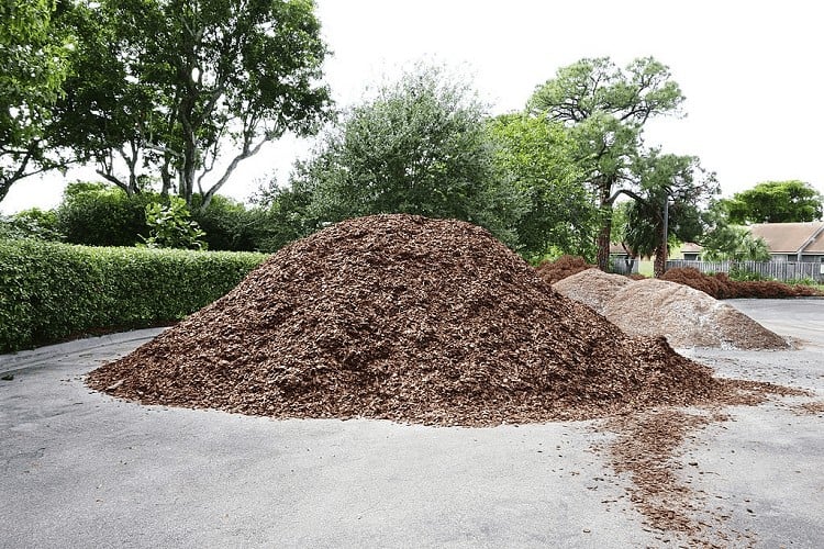 Best Mulch For Trees And Shrubs [Unbaised List of 2023]