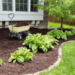 what Is mulching and its advantages