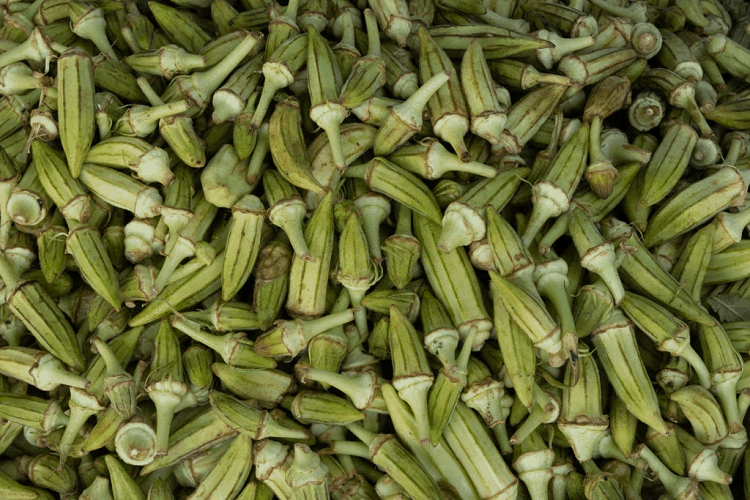 When to Plant Okra in Arkansas