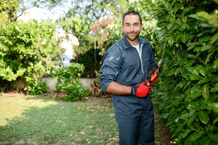 How to Sharpen Pruning Loppers