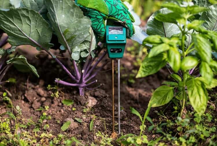 Portable Soil Moisture Meter Detector Farming Lawn Plant Humidity Sensor  Hygrometer Electric Mushroom Portable Tester