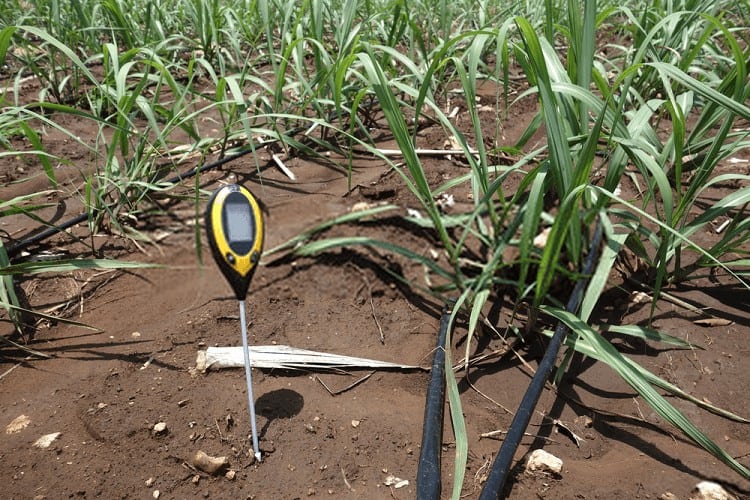 soil moisture checking tool