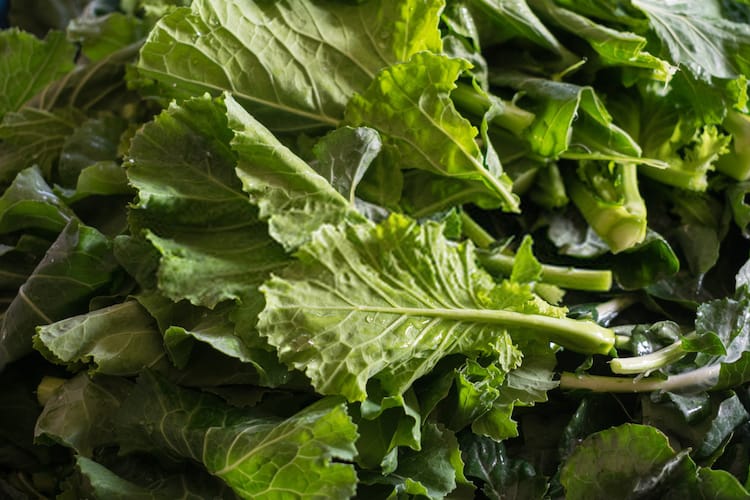 How to Harvest Turnip Greens