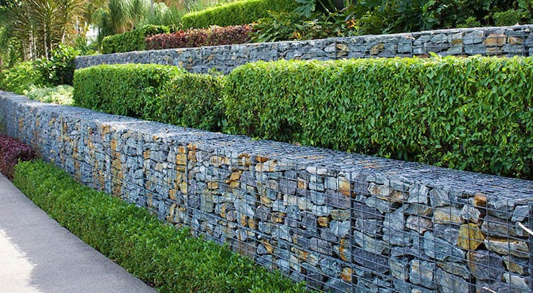 Tiered Hedge retaining wall
