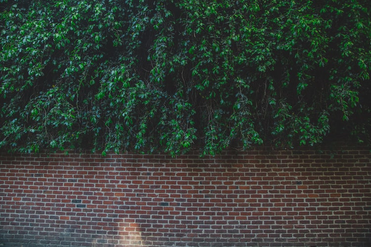 Traditional Brick retaining wall