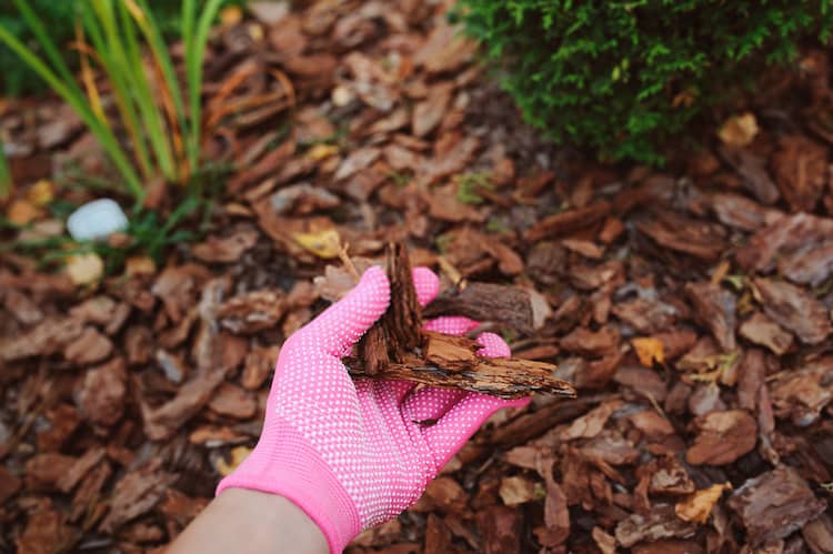 Types of Mulch