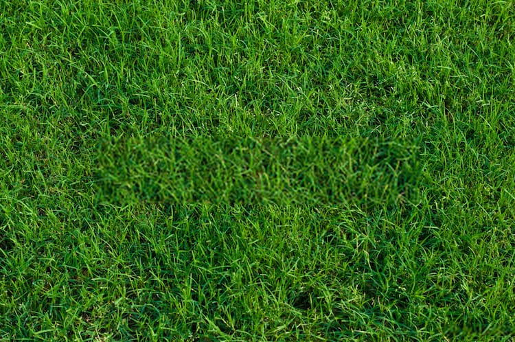 How To Keep Bermuda Grass Out Of Flower Beds