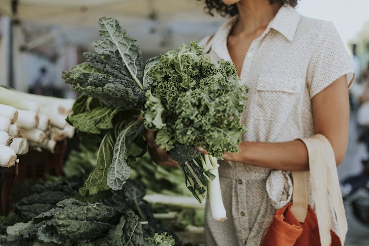 How to Harvest Kale So It Keeps Growing