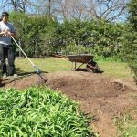 how to kill grass in vegetable garden