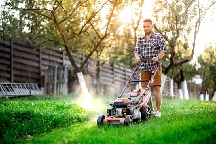 GreenWorks Pro 21-inch 80v Cordless Lawn Mower Review