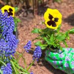 Are Pansies Poisonous to Cats