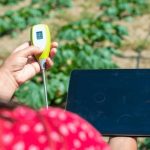 Best pH Meters For Hydroponics