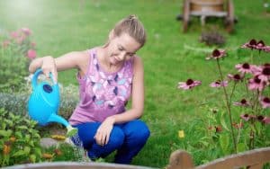 Does Spraying Plants With Water Prevent Frost Damage?
