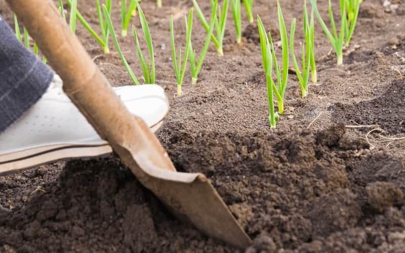 Drain Spade Vs Trenching Shovel Key Differences