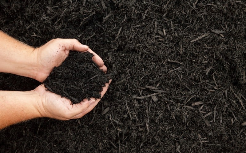 Is EZ Straw Safe for Vegetable Garden?