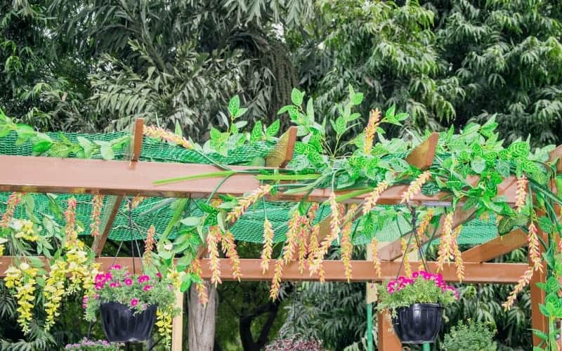 4 Different Types of Crops in Kansas