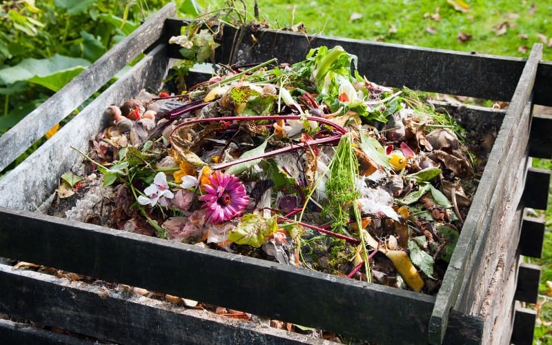 what is compost bin