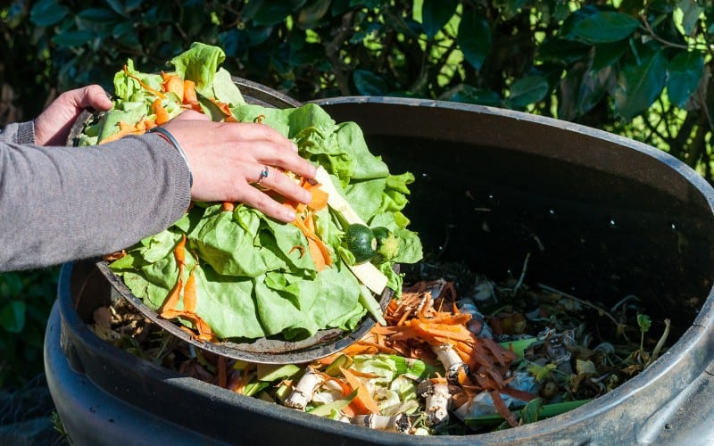 difference between vermicompost and compost