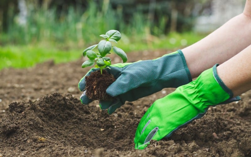 food waste recycling