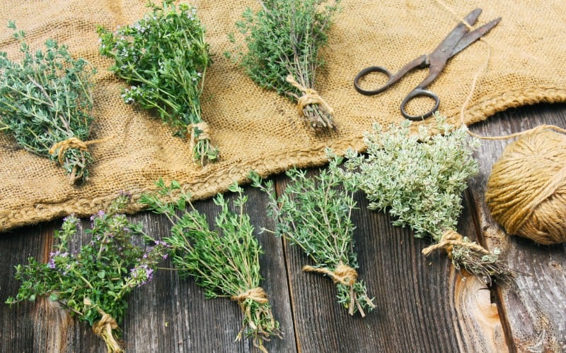 how to store thyme after harvesting