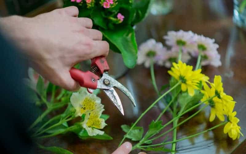 When to Trim Flowering Shrubs