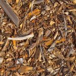 Does Cedar Mulch Repel Mosquitoes