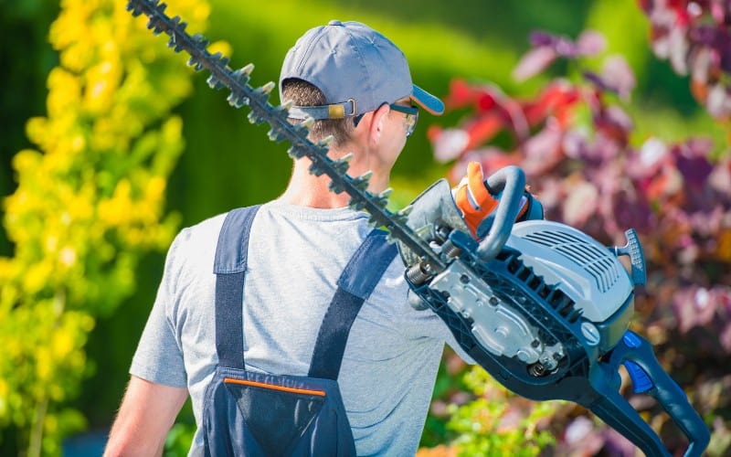 Gas Hedge Trimmer Reviews