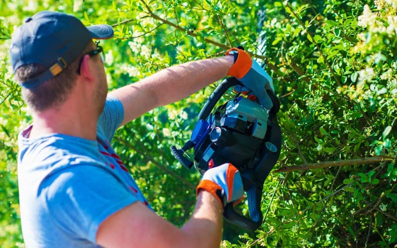 Hedge Trimmers For Thick Branches Reviews