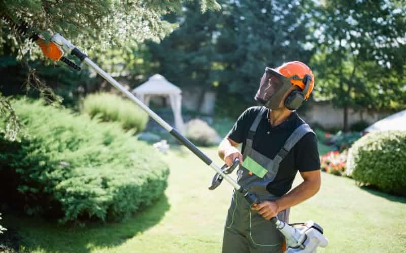 Pole Saw Vs Hedge Trimmer [Uses & Benefits]