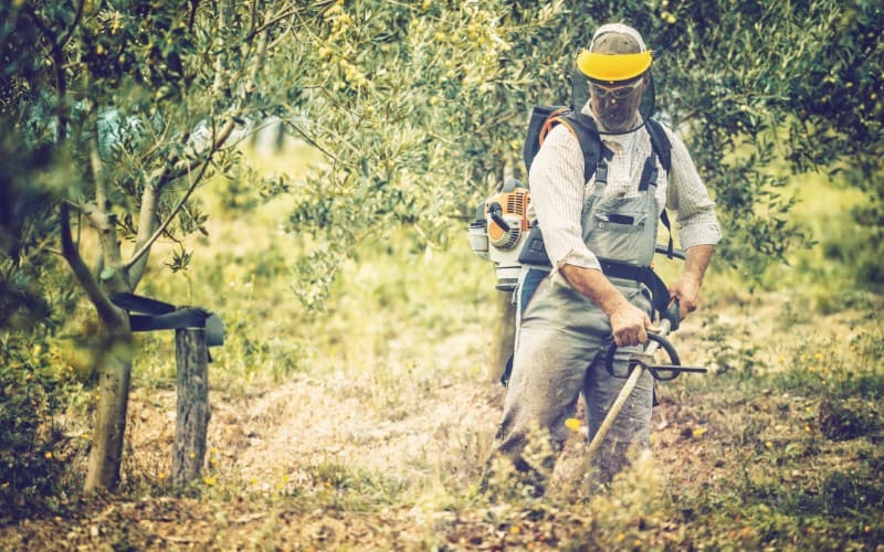 Should You Wear A Mask When Mowing Grass