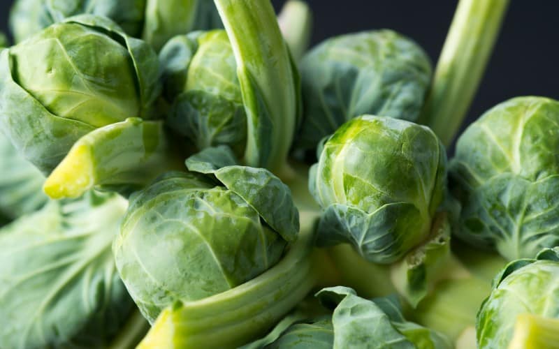 common problems of brussels sprouts