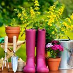 Essential Gardening Tools