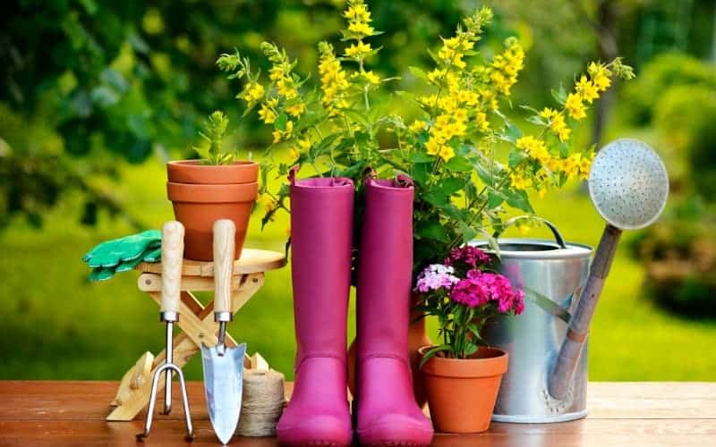 essential tools for gardening        
        <figure class=