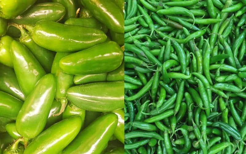 Difference Between Jalapenos and Serranos Peppers