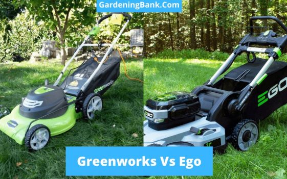 Greenworks Vs Ego: Battle Of The Best Lawnmower Brands