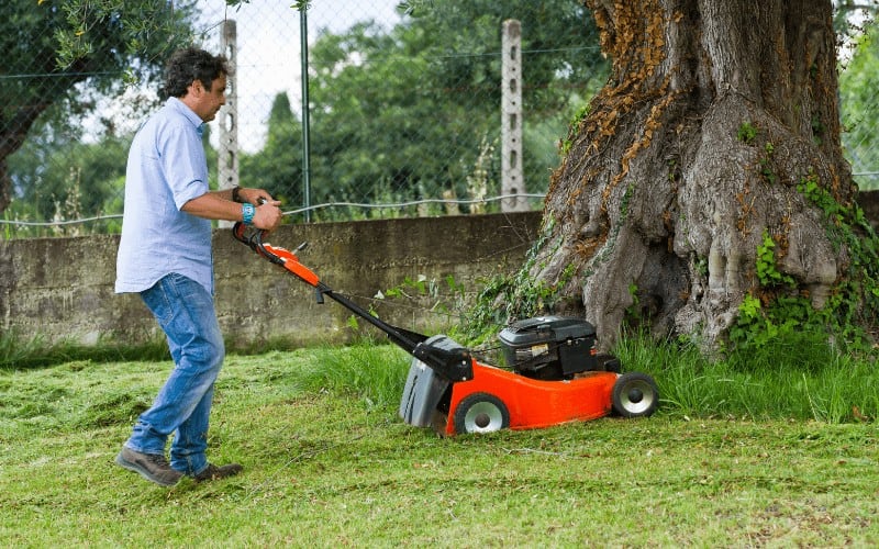 Greenworks Vs Ego lawnmowers