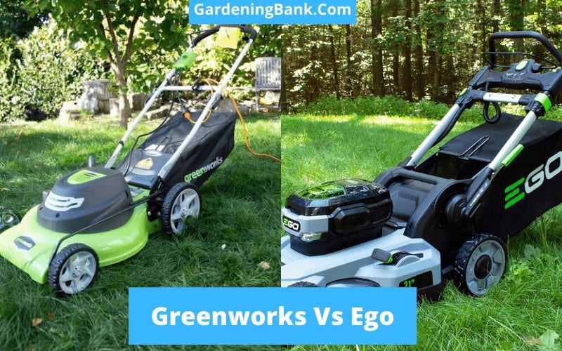 Greenworks Vs Ego