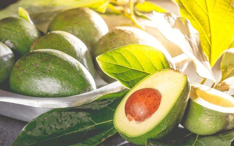 Where Do Avocados Come From Originally