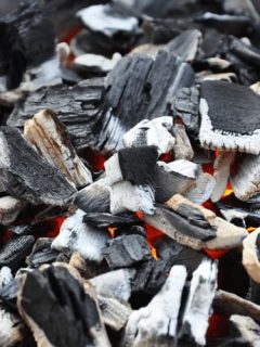 Differences Between Horticultural Charcoal and Activated Charcoal
