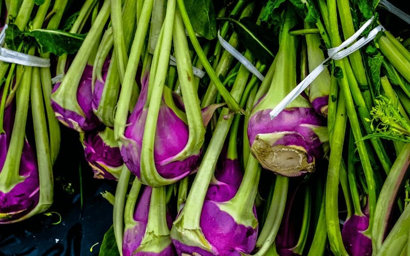 How To Grow Red Onions from Scraps