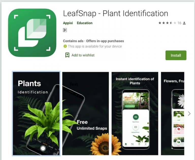 11 Best Free Plant Identification Apps (For Android & iOS)