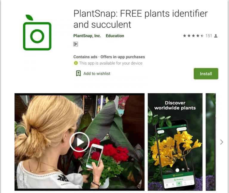 11 Best Free Plant Identification Apps (For Android & iOS)