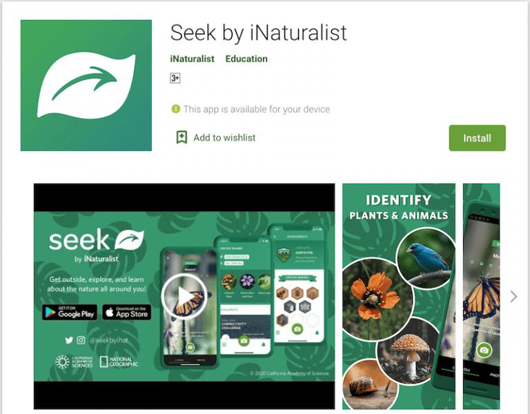 8 Best Tree Identification Apps 2023 (For Android & iOS)