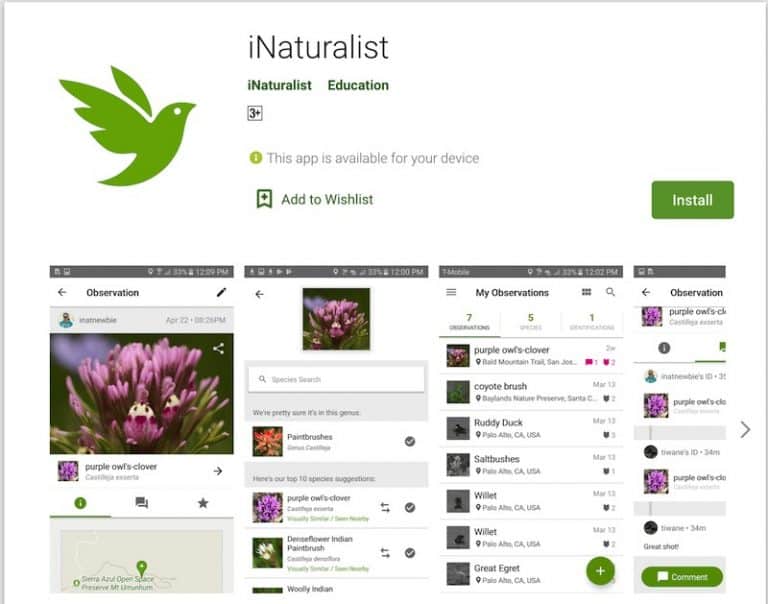 11 Best Free Plant Identification Apps (For Android & iOS)