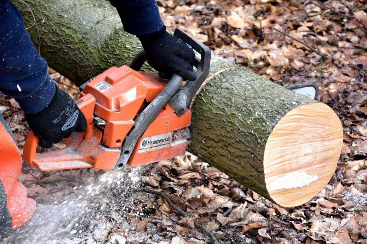 Husqvarna 350 Chainsaw Review and Specs