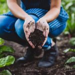 Is It OK To Add Coffee Grounds to Fertilizer