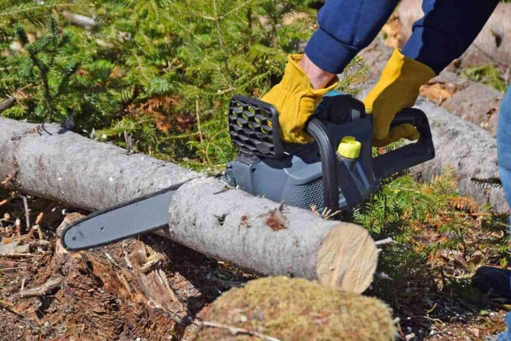 Best Cordless Saws For Cutting Tree Branches